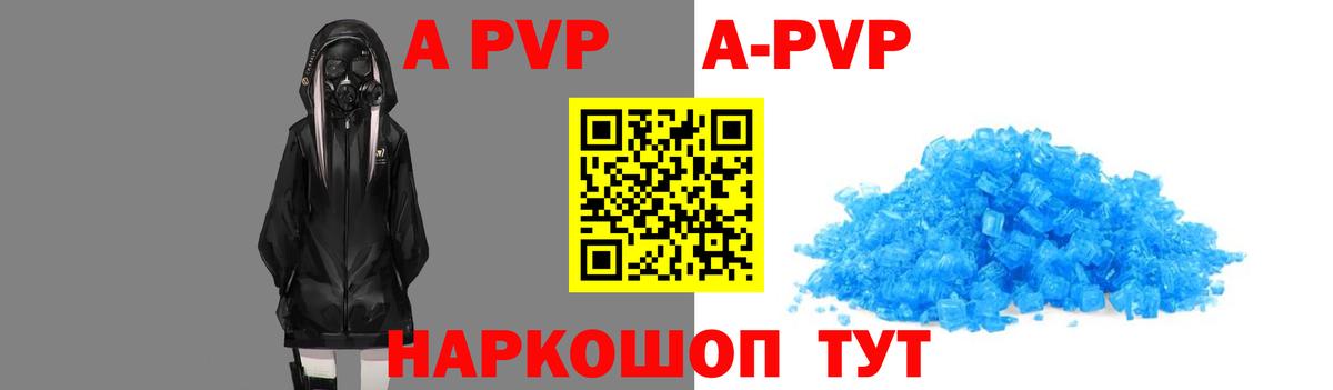 Альфа ПВП СК Нововоронеж