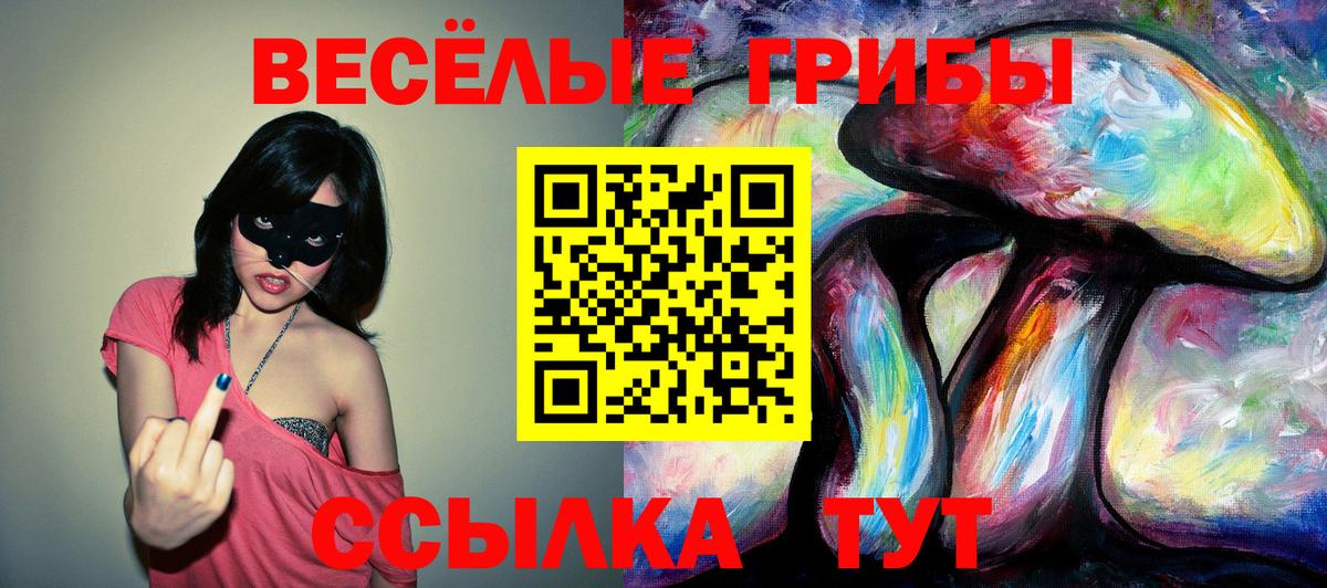 Галлюциногенные грибы прущие грибы Нововоронеж