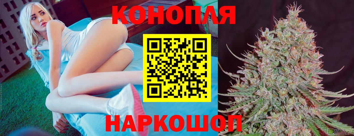 Бошки Шишки планчик Нововоронеж